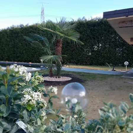 Country House Bea - Con Piscina Appartement CastellʼAlfero